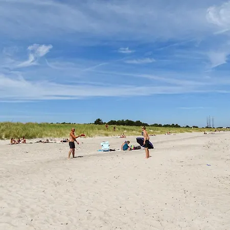 Pet Friendly In Grenaa With Wifi *